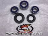 Rear Wheel Bearing & Seal Kit 91-01